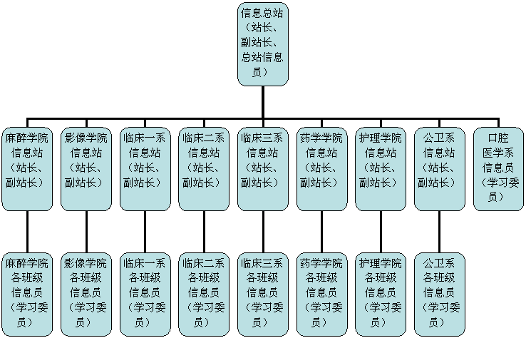 组织结构图